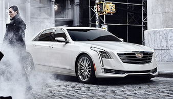 界 鑒 2015風(fēng)云 界面癮擎年度汽車評選 慎入 史上最長